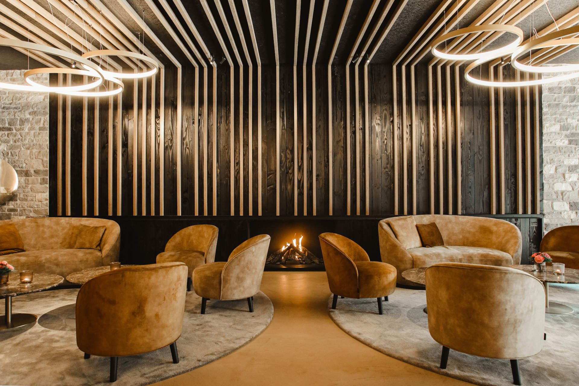 Le sanglier des ardennes 9